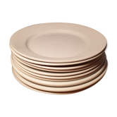 Set of 10 flat plates