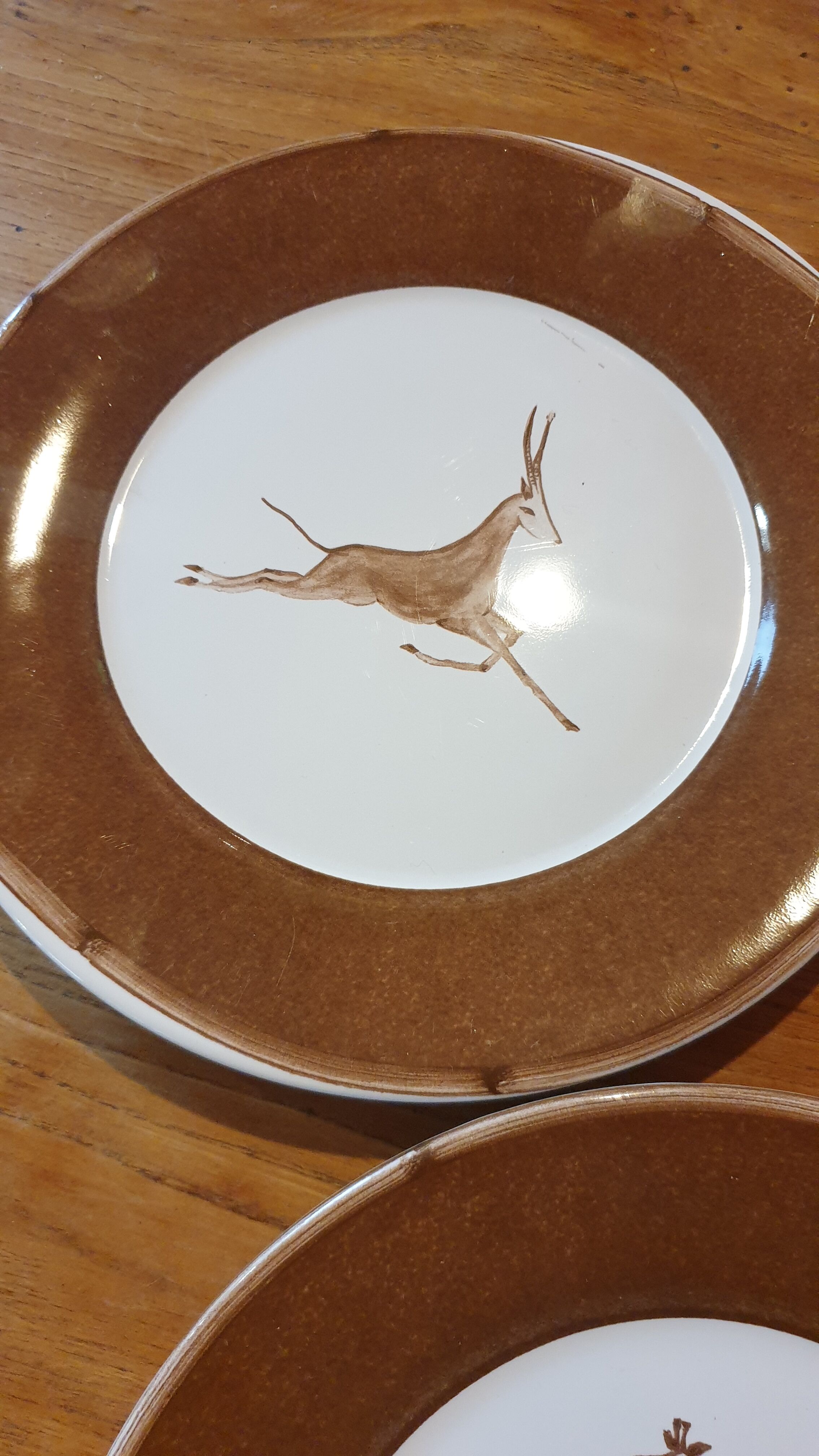 Set 5 assiettes à dessert animaux sauvages d'Afrique