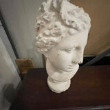 Half 20th-century plaster bust of an antique woman.