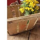 Wooden crate with slats strapping Stamp Mussy red Storage