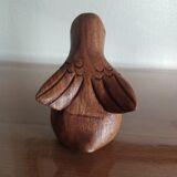 Exotic wood duck