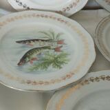 5 assiettes de service a poisson en porcelaine de france digoin n*1