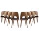 Set of 8 dining chairs by oswald haerdtl, reupholstered, midcentury