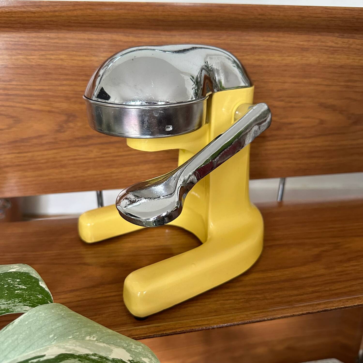 Vintage manual citrus press