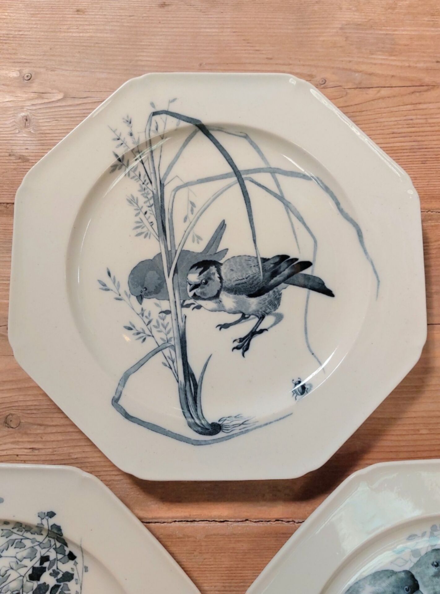 Three flat plates made of ironstone - English earthenware