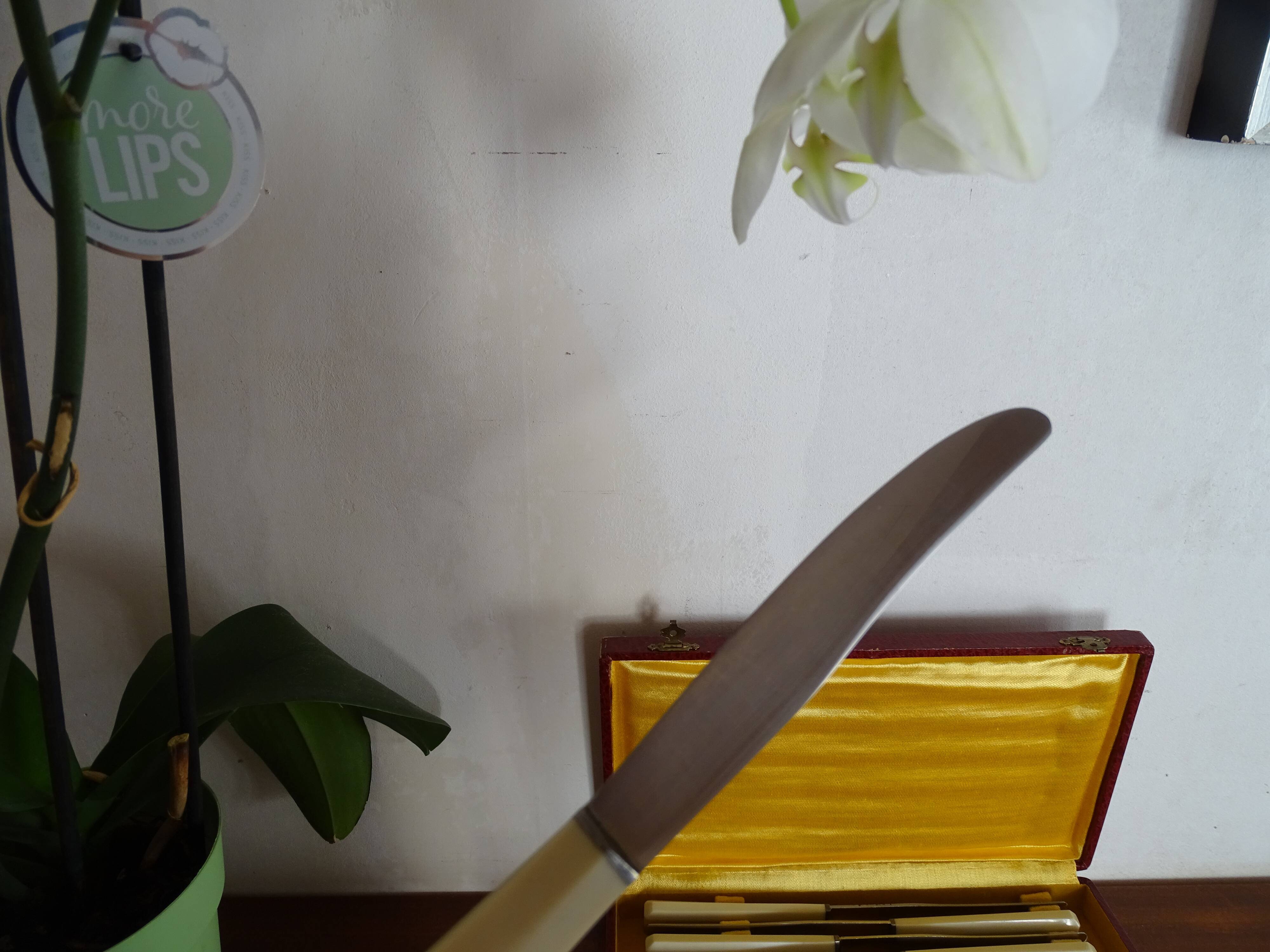 12 Art Deco knives 1930 bone or bakelite sleeves in case