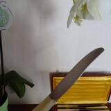 12 Art Deco knives 1930 bone or bakelite sleeves in case