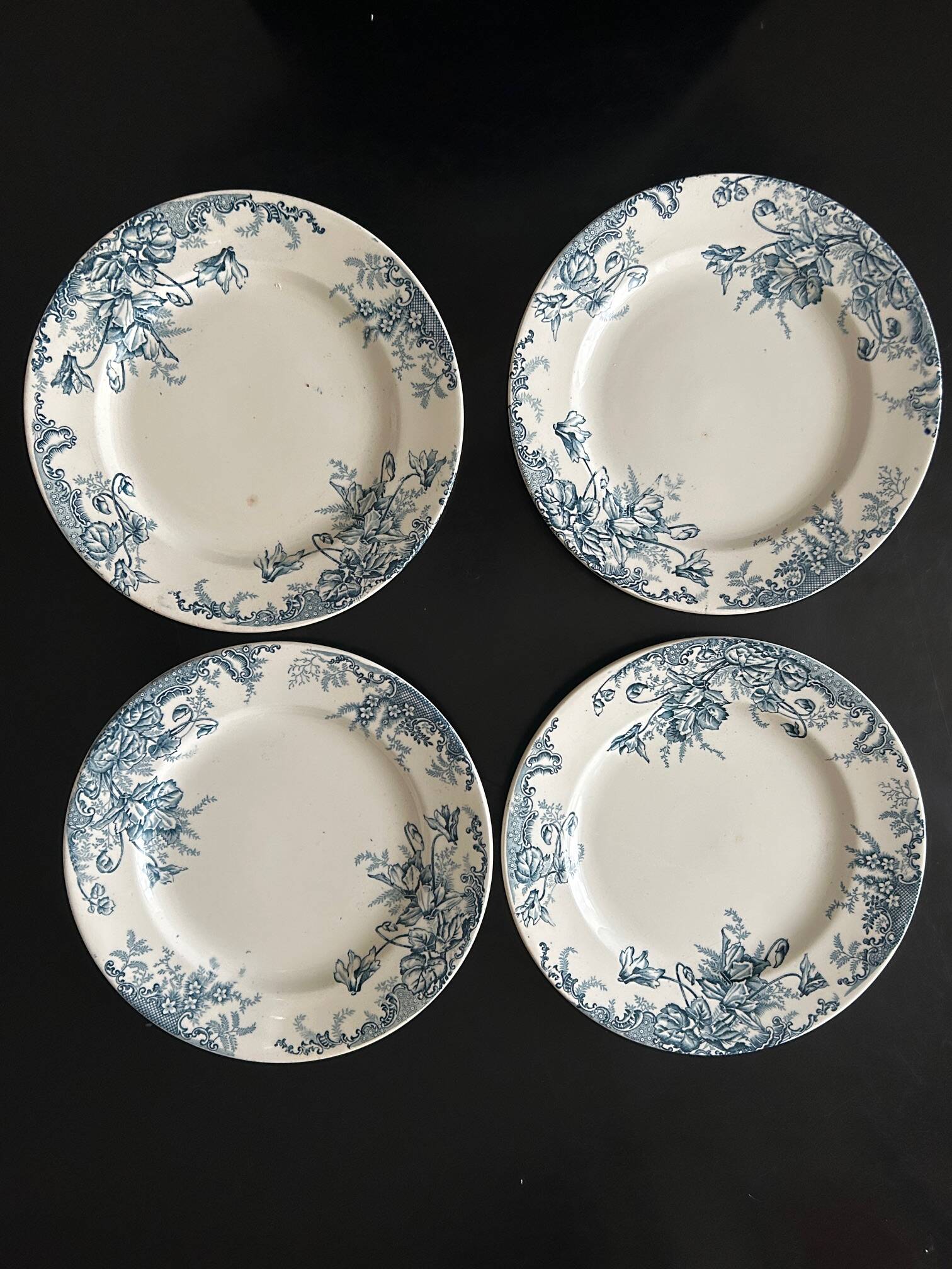 13 flat plates Terre de Fer Louis Graves