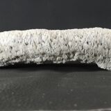 White coral cushion shark, vanuatu, papua new guinea