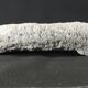White coral cushion shark, vanuatu, papua new guinea