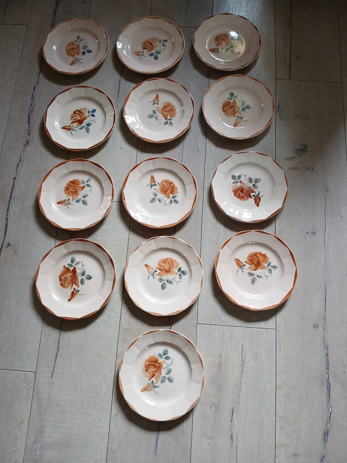 25 old Digoin and Sarreguemines plates