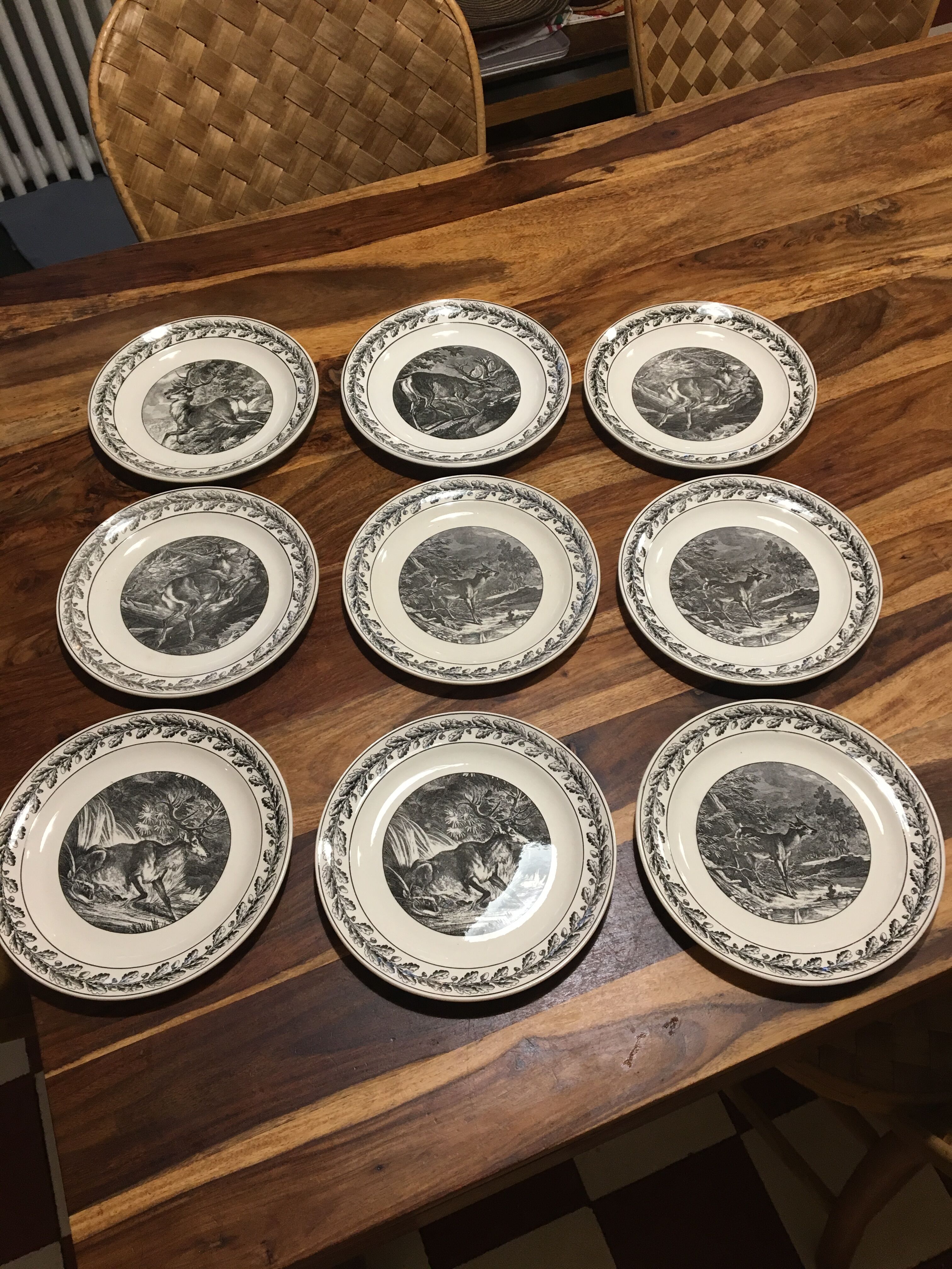 Lot of earthenware plates from Sarreguemines Nemrod