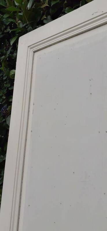 Communication door h221xl90cm old paneled, molded, interior