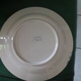 St Clement's field floral decoration plate