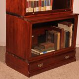 Globe Wernicke Library in Mahogany with 3 large elements and a projection.