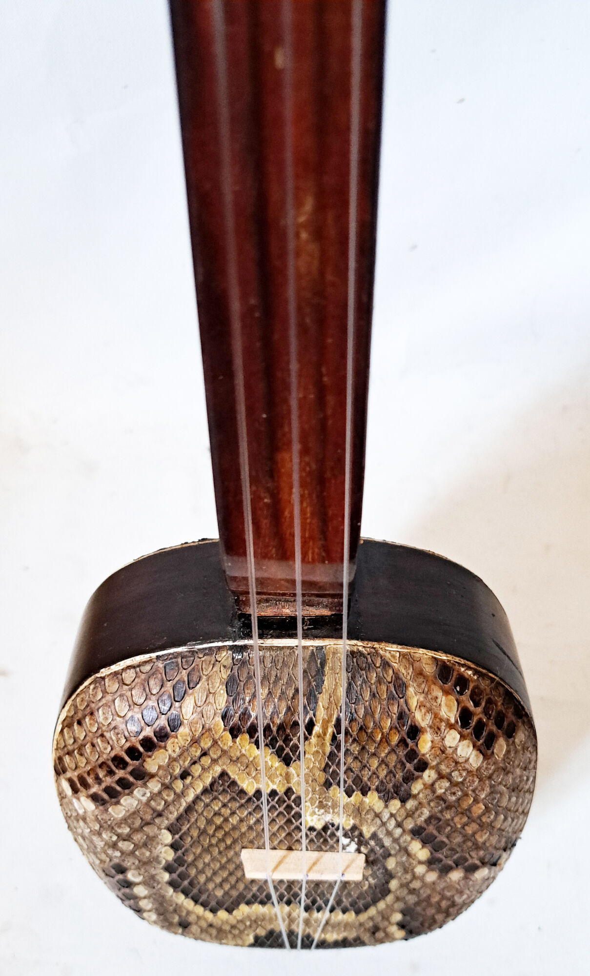 Okinawa shamisen sanshi traditional japanese instrument
