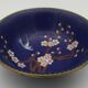 Cloisonné enamel cup with floral decoration
