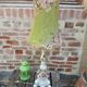 Antique lamp in Italian ceramic