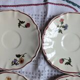 6 coupelles fleuris