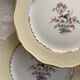 6 antique cream-coloured earthenware dinner plates with gold decoration and flowers.