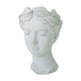 Bust hide-pot athena
