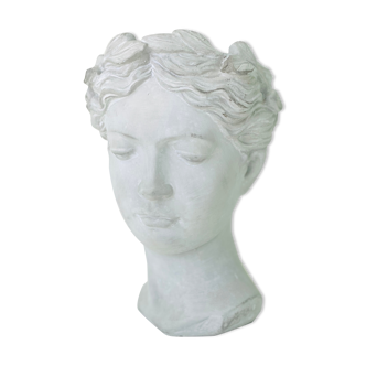 Bust hide-pot athena