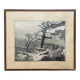 Silver print photograph, 1950 collection