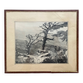 Photographie tirage argentique collection 1950