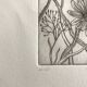 Vilayne hulné, study of clematis, 1984. original etching signed in pencil