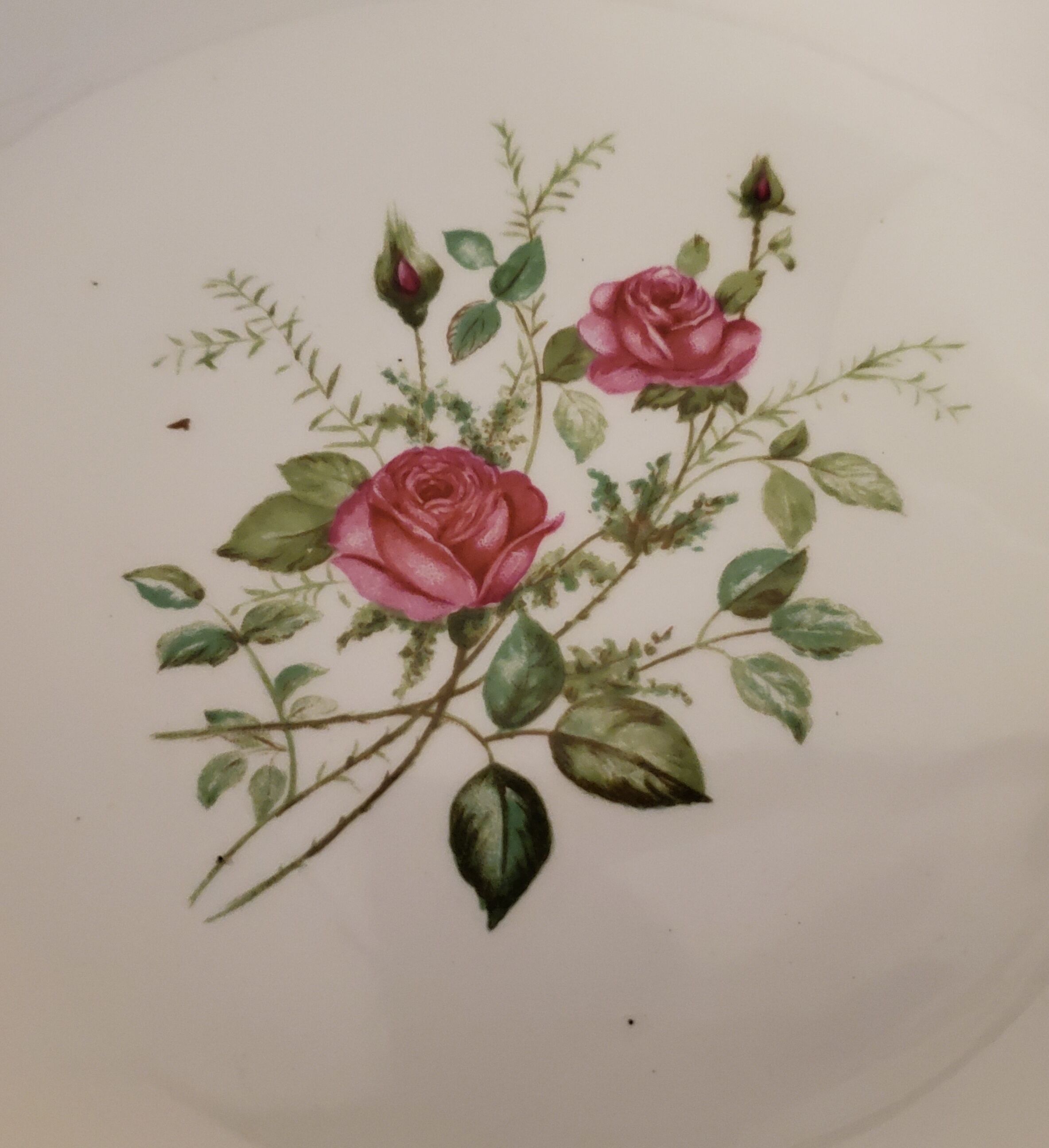 Pompadour 60's collection hollow plates