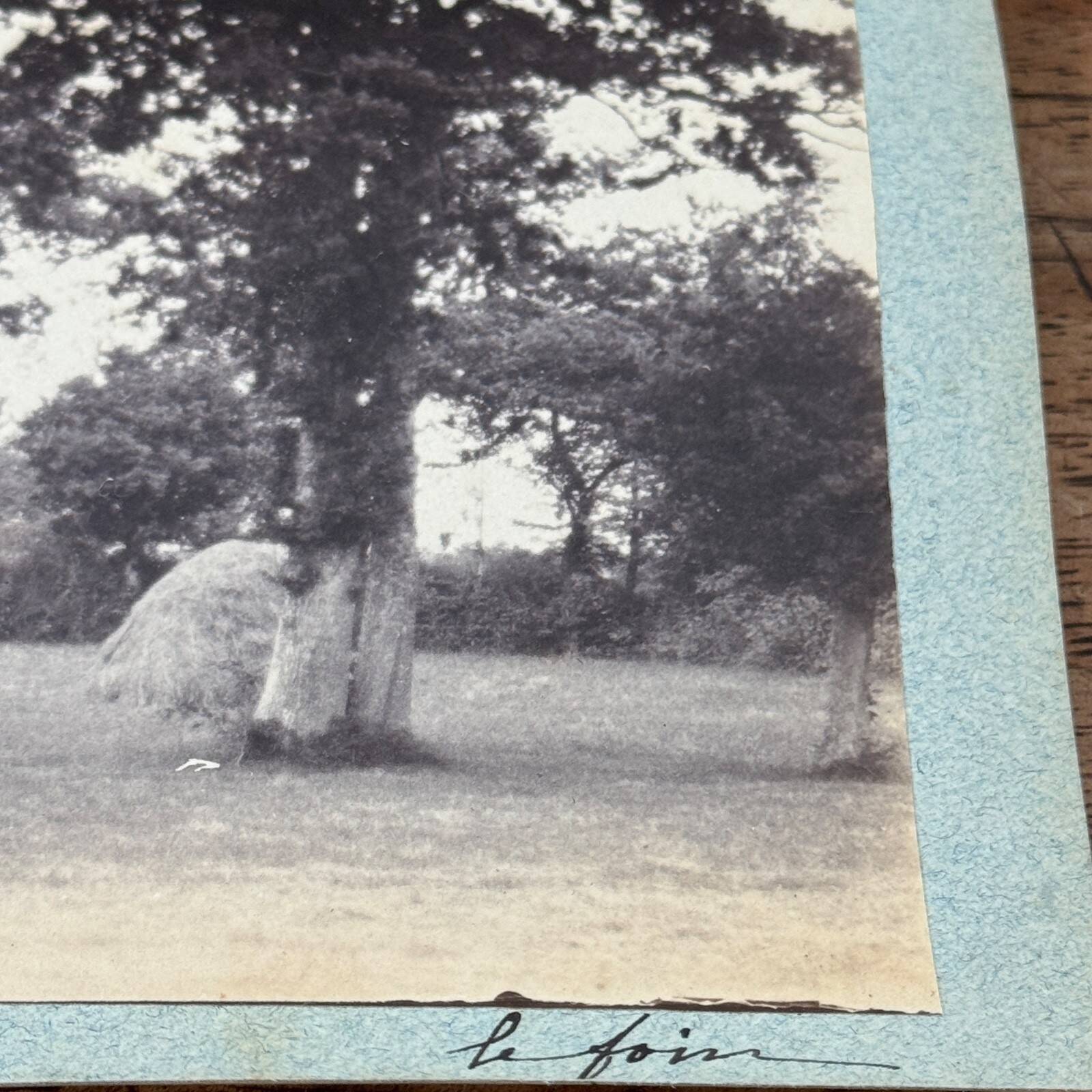 Photo album mounted on cardboard depicting haymaking in the 19th century.