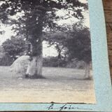 Photo album mounted on cardboard depicting haymaking in the 19th century.