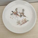 Villeroy plates