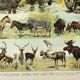 Antique engraving 1898, Mammals 1, animals, zoology • Lithograph, original illustration