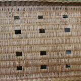 Wicker trunk