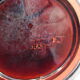 Empty ashtray pocket modernist ceramic iridescent wash VALLAURIS FRANCE circa 1950 1960