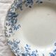 Deep earthenware dish "Campanule" Saint Amand et Hamage