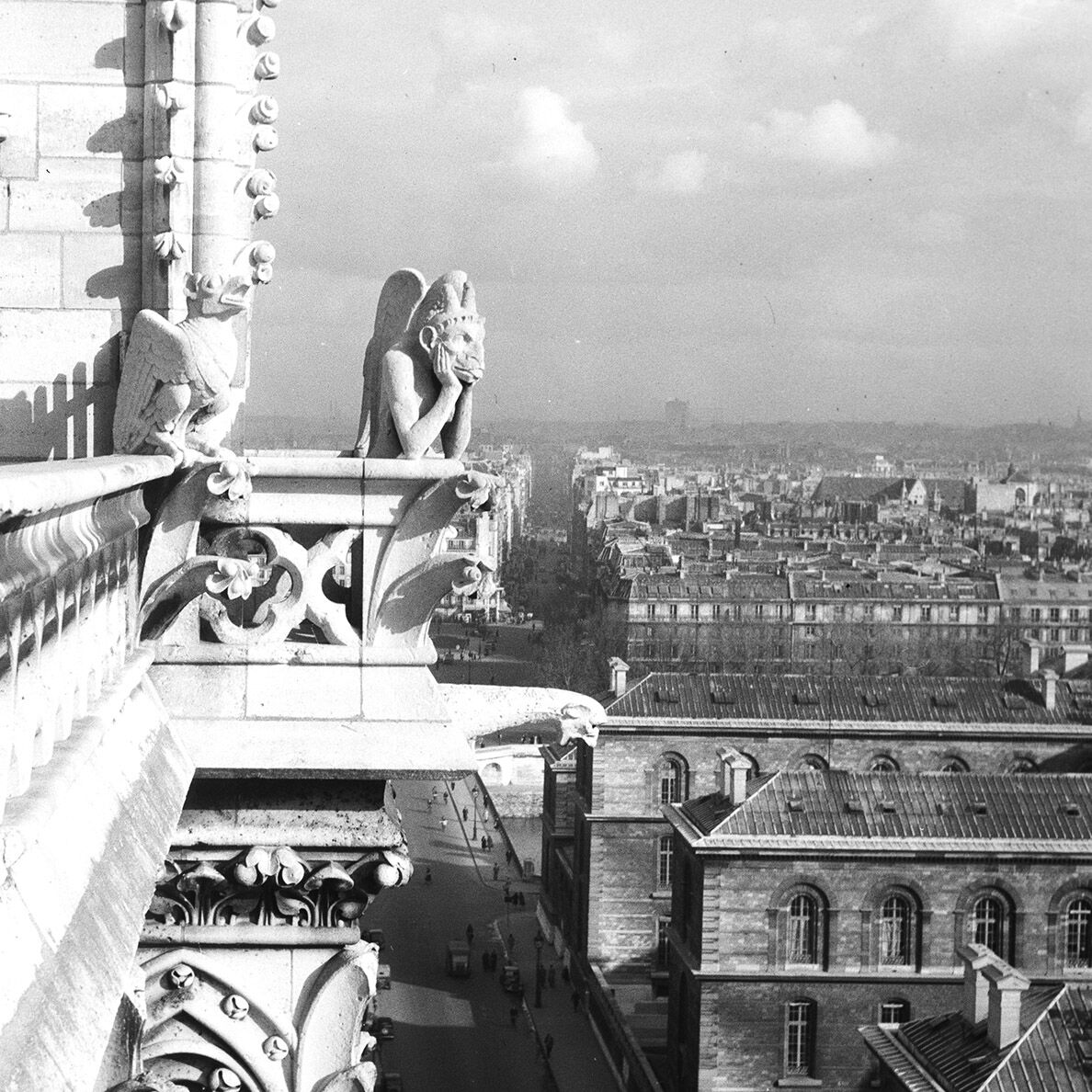 Silver photo print baryté Gargouille Notre dame de Paris. Format 40cmx40cm