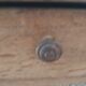 Old Farm Coffee Table late 19th S