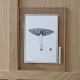 Mushroom board, limited edition