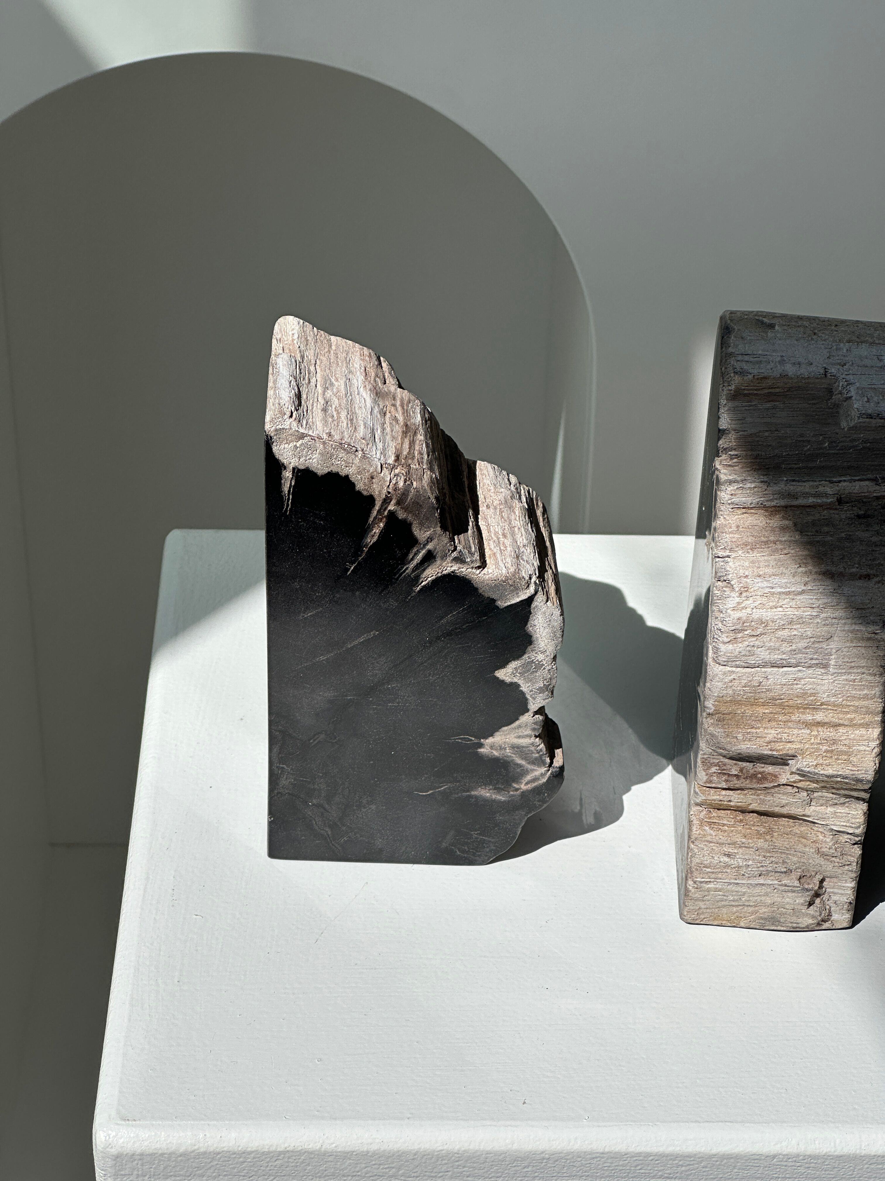 Black petrified wood bookend H17 L17 P6