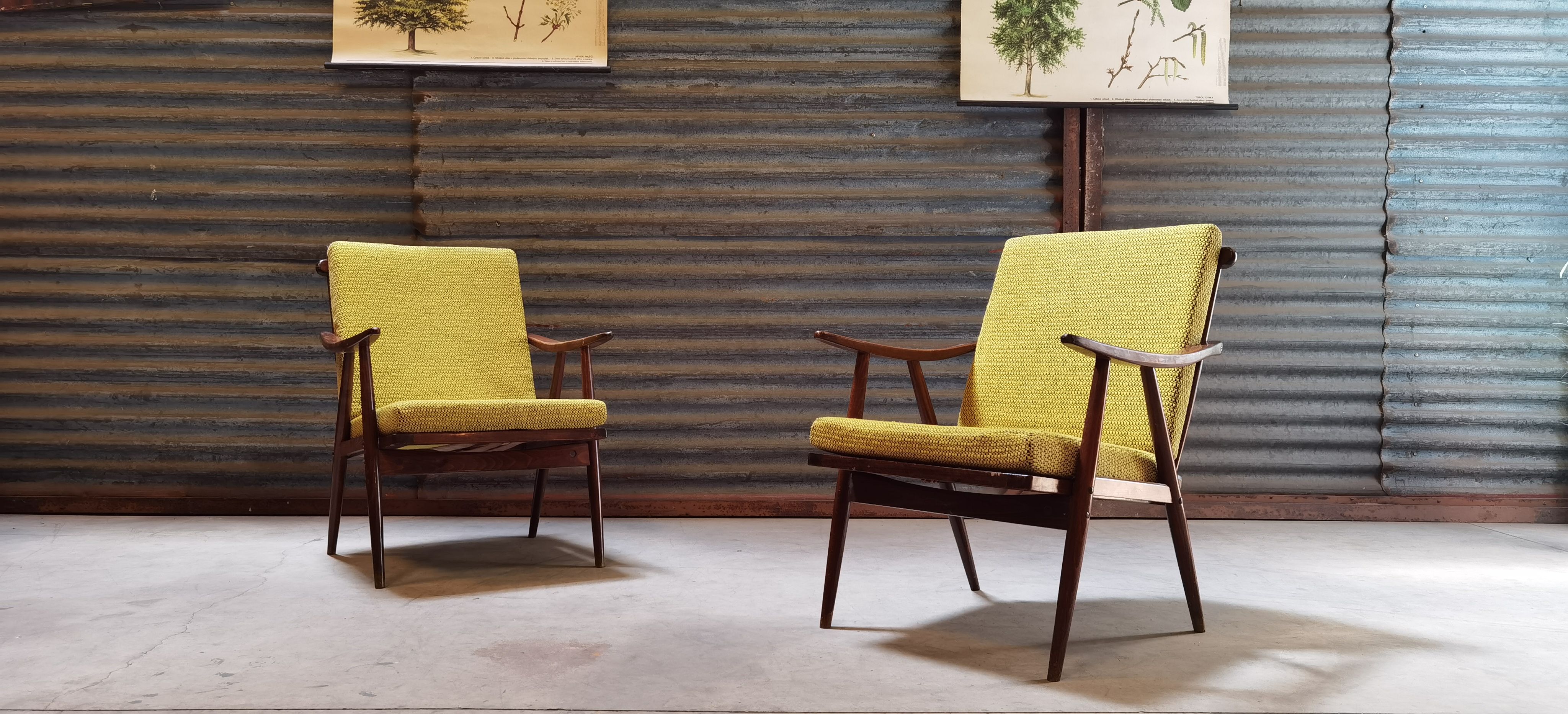 Pair of boomerang armchairs TON Bystřice (Thonet) by Antonin Suman 1960