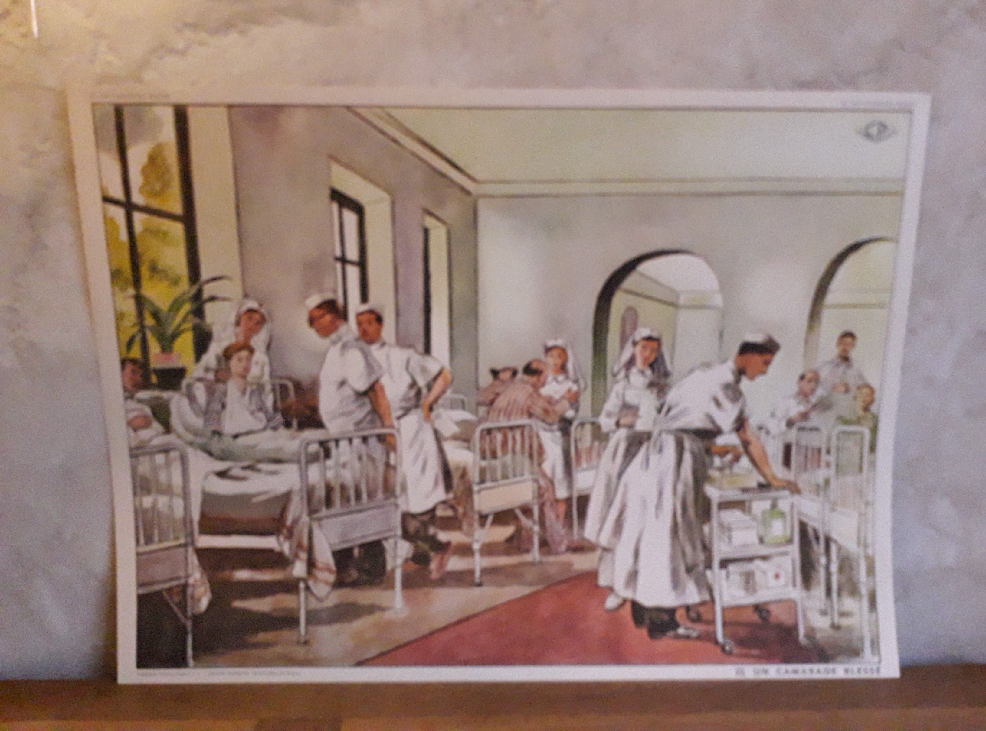 School poster of the 50s, Rossignol editions, mushroom picking