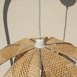 Vintage rattan canning flower suspension