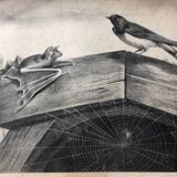 Zoological school poster representing the bat