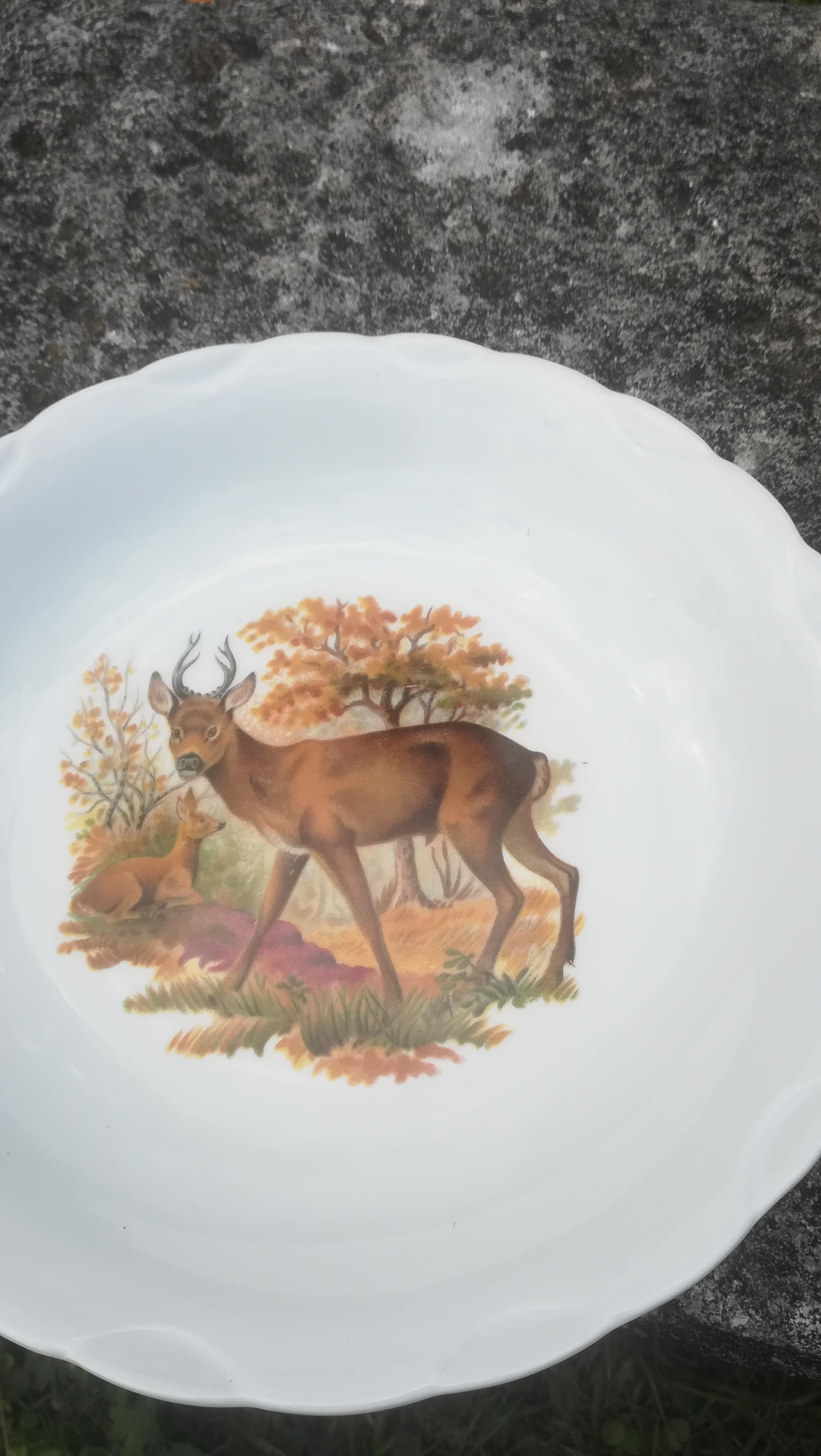 8 hollow plates animal decorations