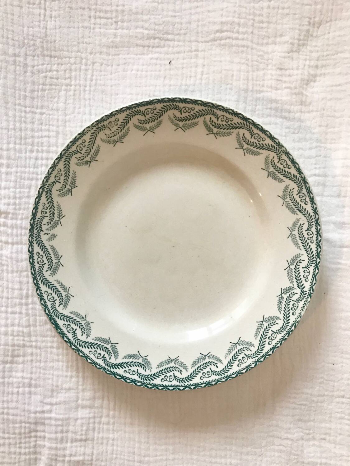 Set de 5 assiettes Terre de Fer Saint-Amand, modèle Réjane
