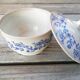 Terre de fonte St Vallier tureen