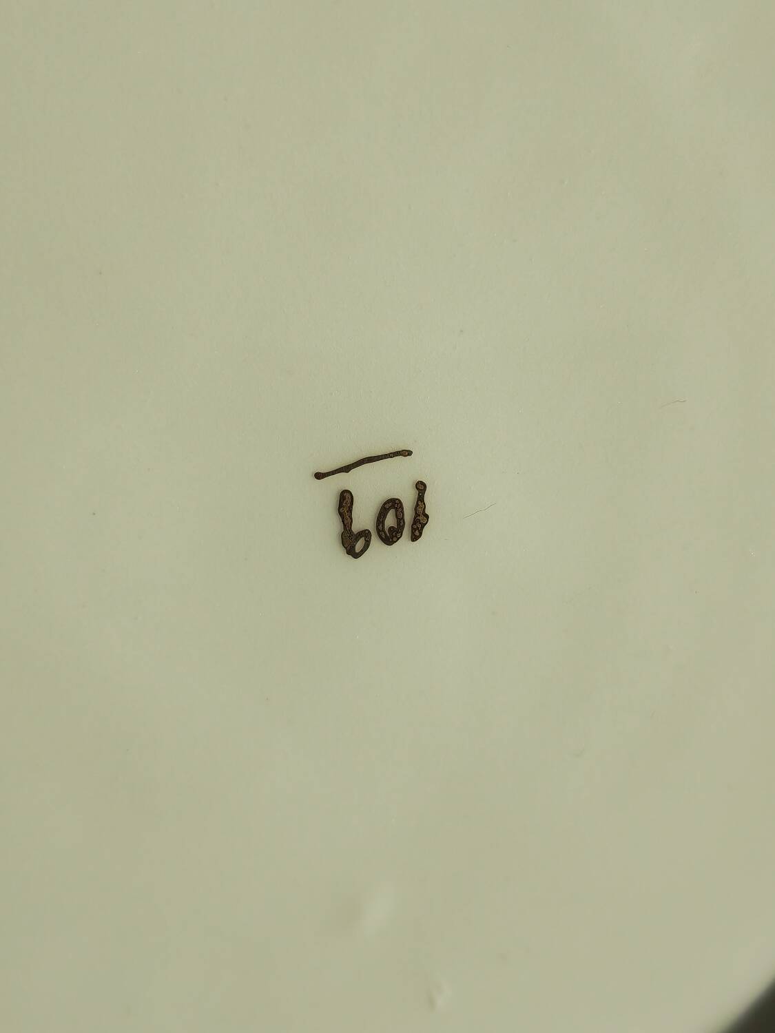 Plate with red blood decorations