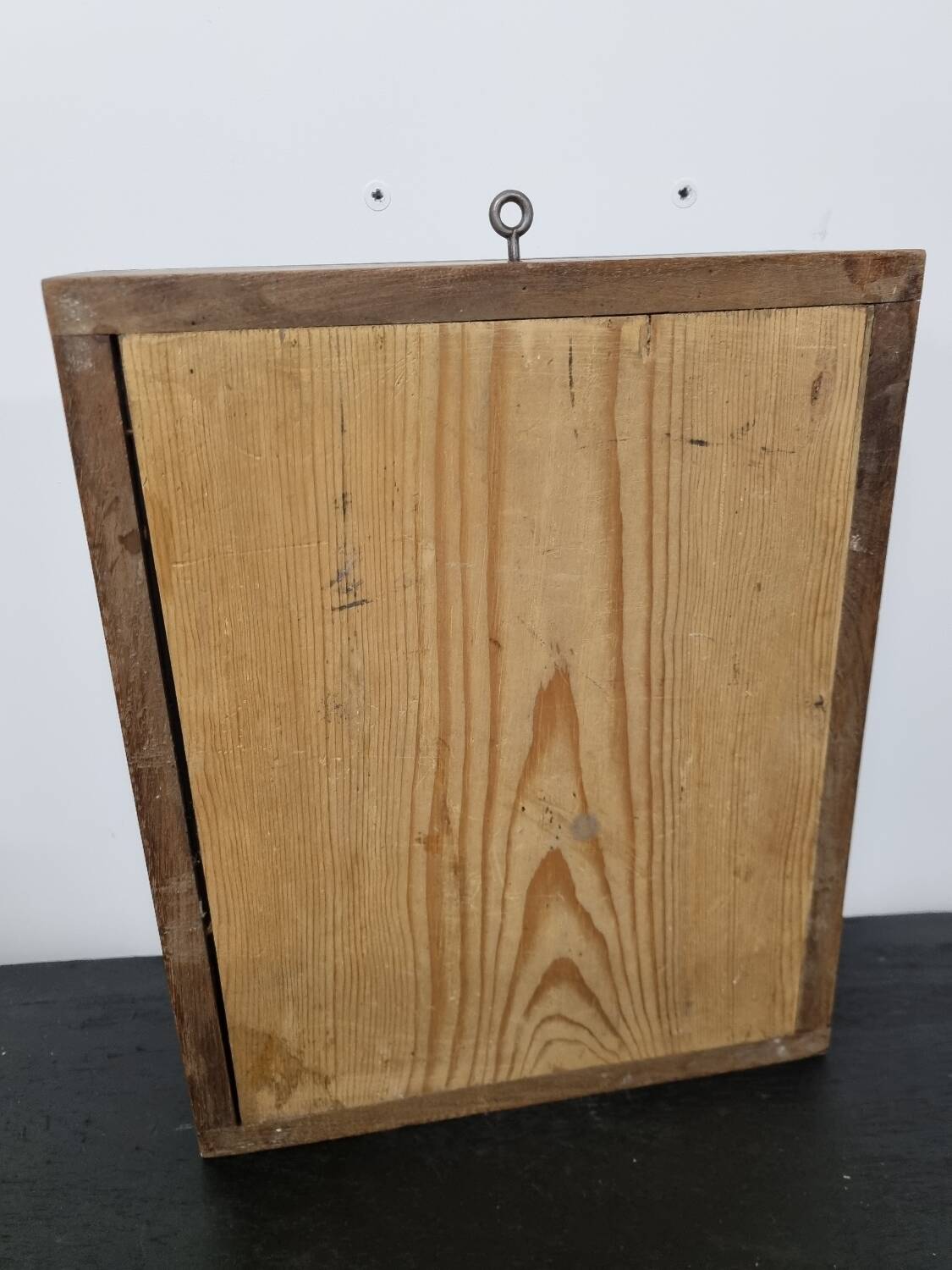 Butterfly and coral display case